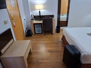 Hotel Baviera Marbella double room with balcony