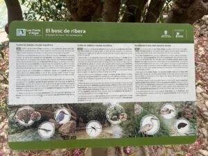 Flora and wildlife information board at Les Fonts d’Algar