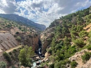 Caminito del Rey Flora and Fauna Caminito del Rey flora and fauna – IMG 3748