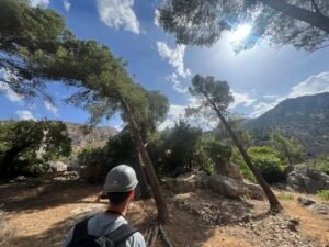 Caminito del Rey Flora and Fauna Caminito del Rey flora and fauna – IMG 3780
