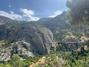 Caminito del Rey Flora and Fauna Caminito del Rey flora and fauna – IMG 3788