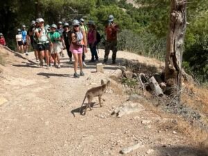 Caminito del Rey Flora and Fauna Caminito del Rey flora and fauna – IMG 3802