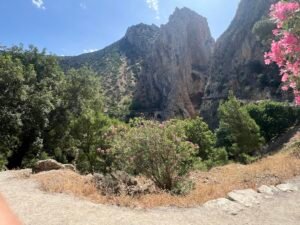 Caminito del Rey Flora and Fauna Caminito del Rey flora and fauna – IMG 3810
