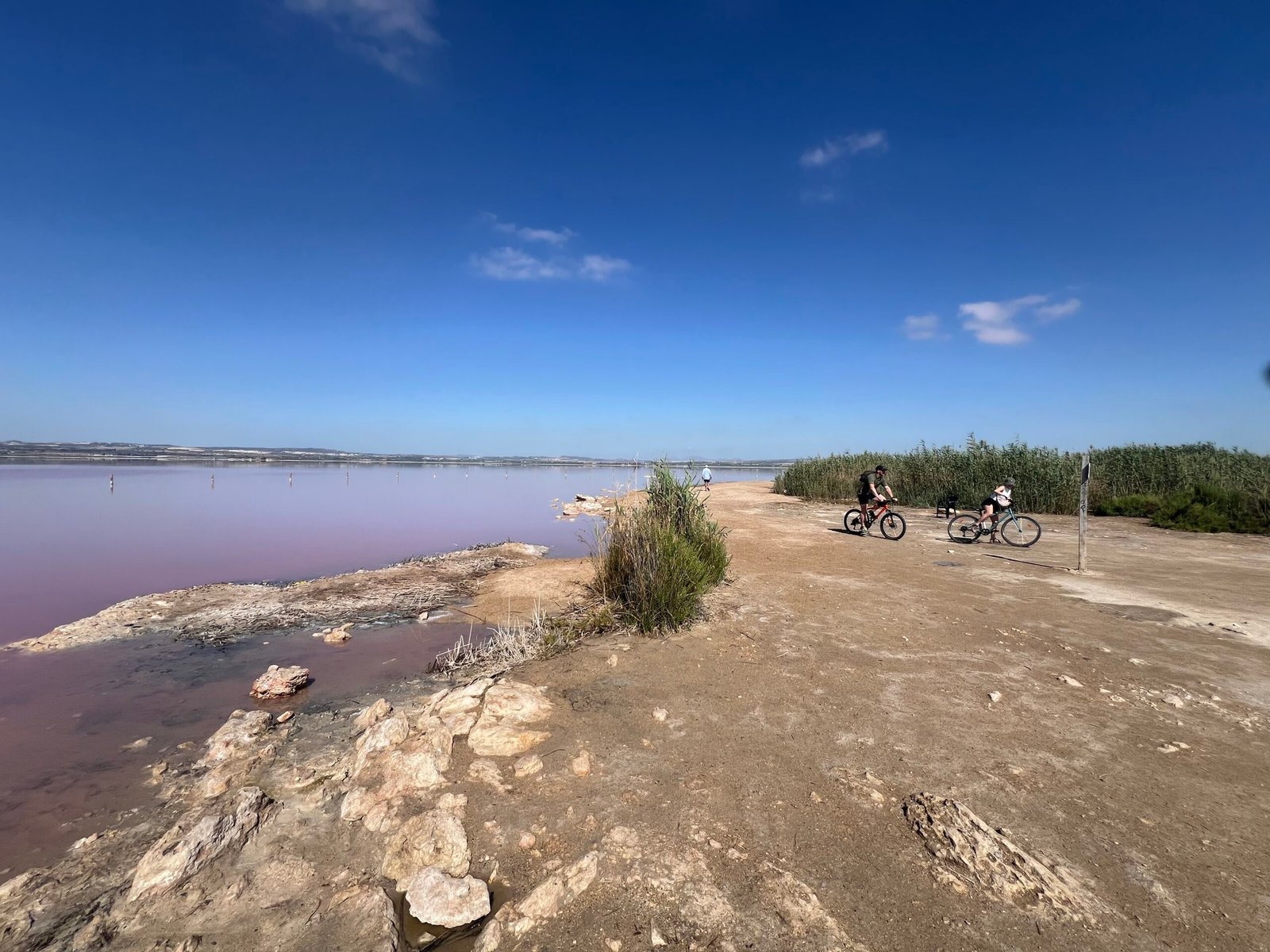 Laguna Rosa Torrevieja: Our Visit to Spain’s Pink Lake Pink water at Laguna Rosa Torrevieja, Spain