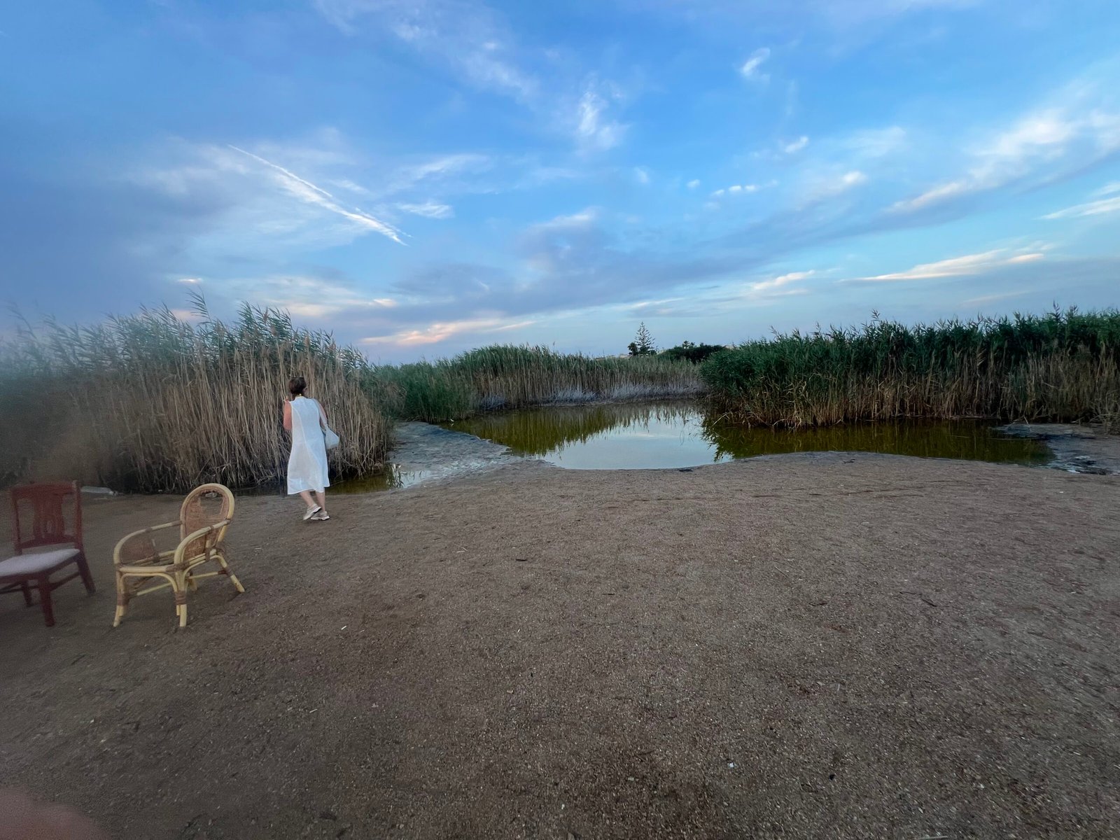 Laguna Rosa Torrevieja: Our Visit to Spain’s Pink Lake Natural shoreline beside Laguna Rosa Torrevieja