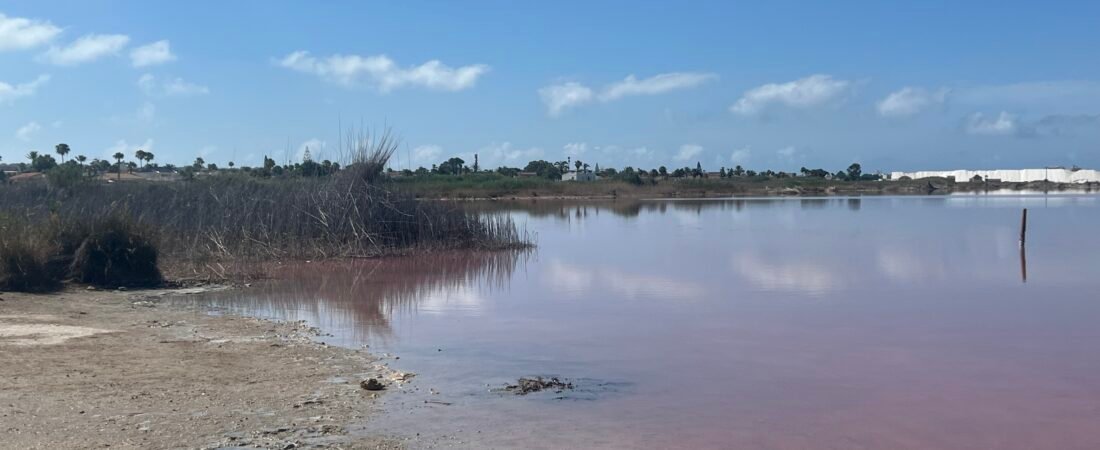 Laguna Rosa Torrevieja: Our Visit to Spain’s Pink Lake Laguna Rosa Torrevieja: Our Visit to Spain’s Pink Lake