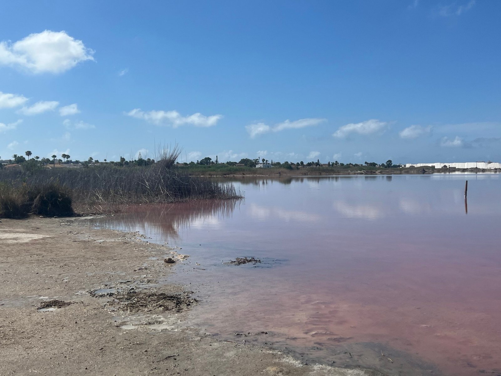 Laguna Rosa Torrevieja: Our Visit to Spain’s Pink Lake Pink Laguna Rosa lake in Torrevieja on the Costa Blanca