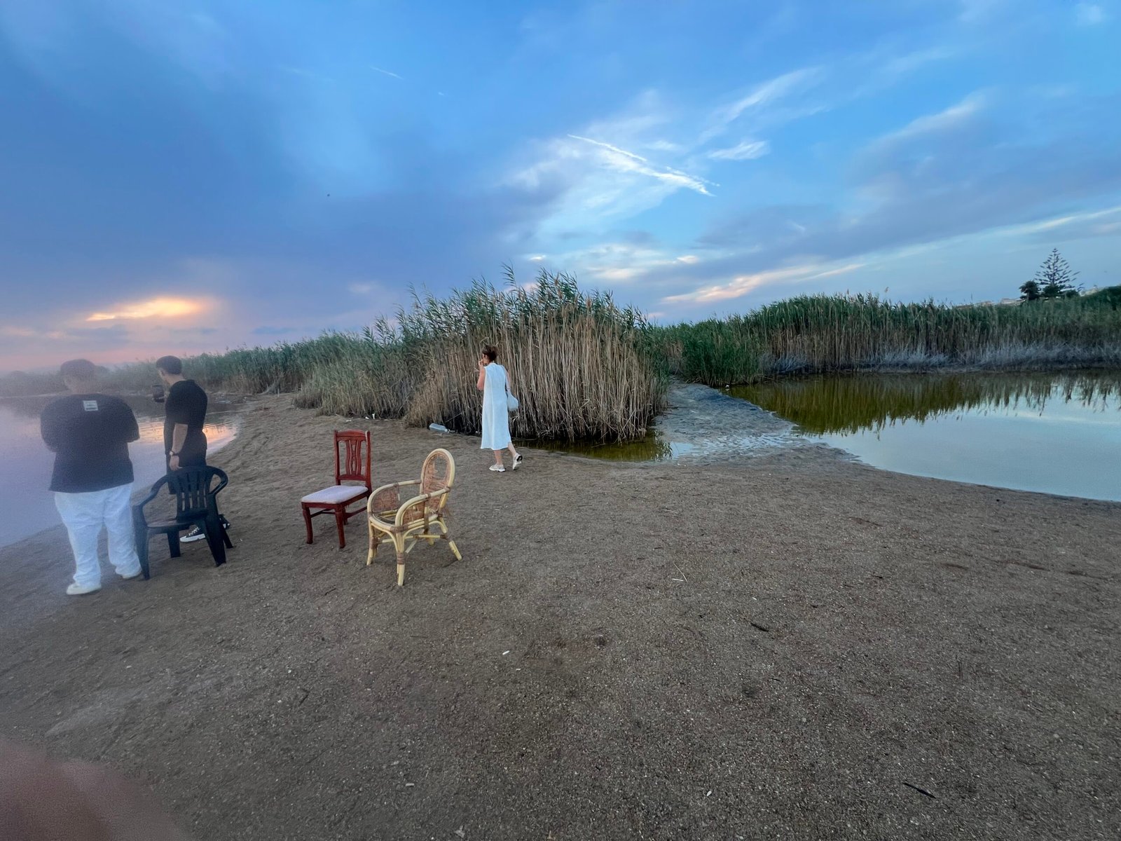Laguna Rosa Torrevieja: Our Visit to Spain’s Pink Lake Reeds and shoreline at Laguna Rosa Torrevieja