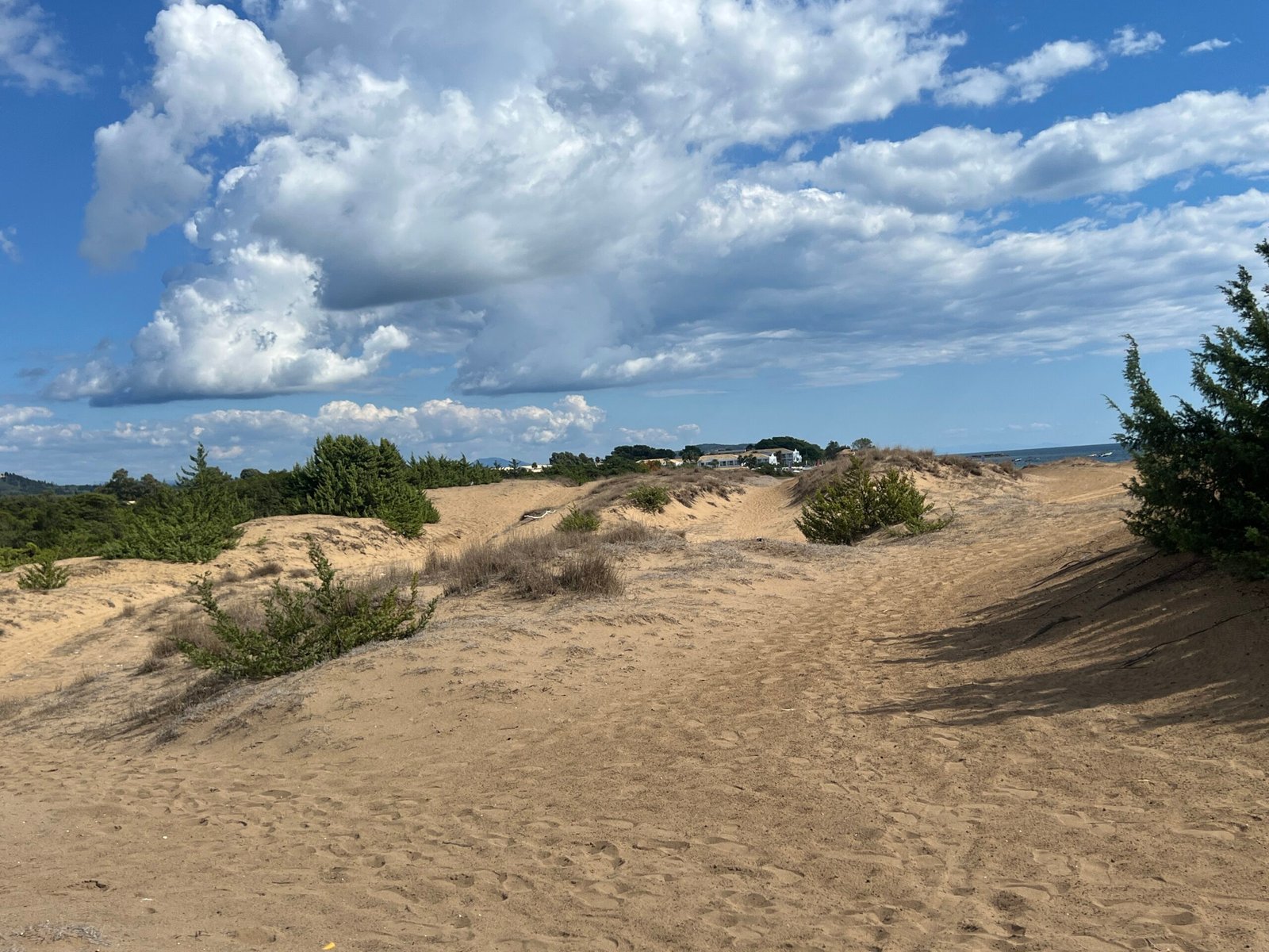 Sandy dunes and shrubs behind Issos Beach