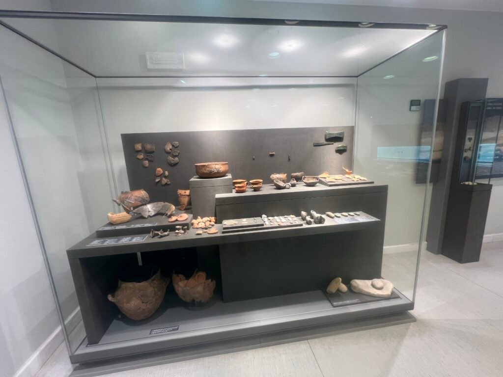 A case containing pottery and smaller archaeological finds.