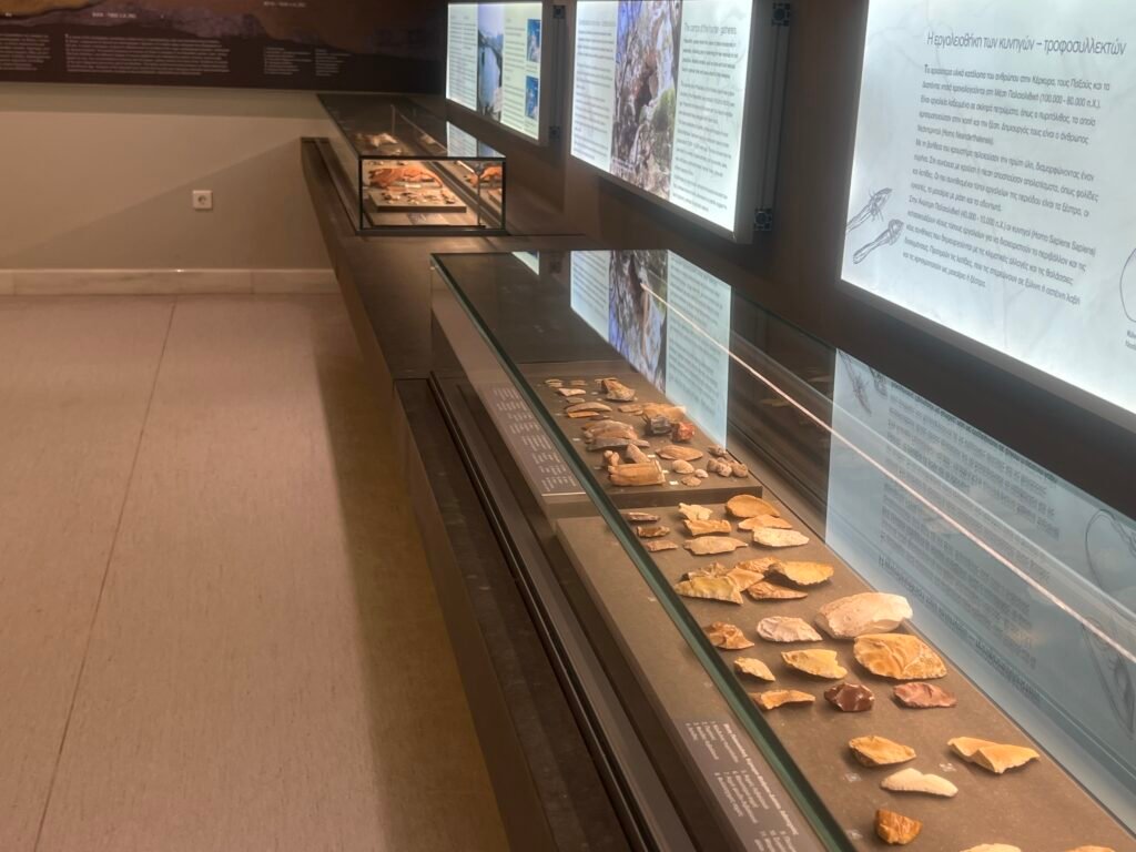 Smaller finds arranged beneath the prehistoric exhibition panels.